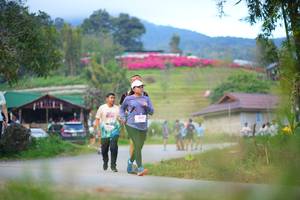 BIB: 
                            <button type="button" onclick="openModal(19212831)" class="btn btn-primary btn-sm float-right btn-popup" data-toggle="modal" data-target=".modal-high-quality">
                        <i class="fas fa-shopping-cart"></i> Add to Cart
                    </button>
                                            <button type="button" onclick="isThisMe(19212831, true)" class="btn btn-success btn-sm float-right btn-popup btn-isme hidden" data-toggle="tooltip" data-placement="bottom" title="นี่คือรูปของคุณใช่ไหม คลิกที่นี่เพื่อเอาเข้าอัลบั้ม">
                        <i class="fas fa-plus"></i> Add to album
                    </button>
                    <button type="button" onclick="isThisMe(19212831, false)" class="btn btn-warning btn-sm float-right btn-popup btn-isnotme hidden">
                        <i class="fas fa-ban"></i> Remove from album
                    </button>